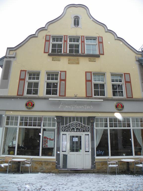 Guest house Amplonius 3*